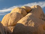 Joshua Tree 003